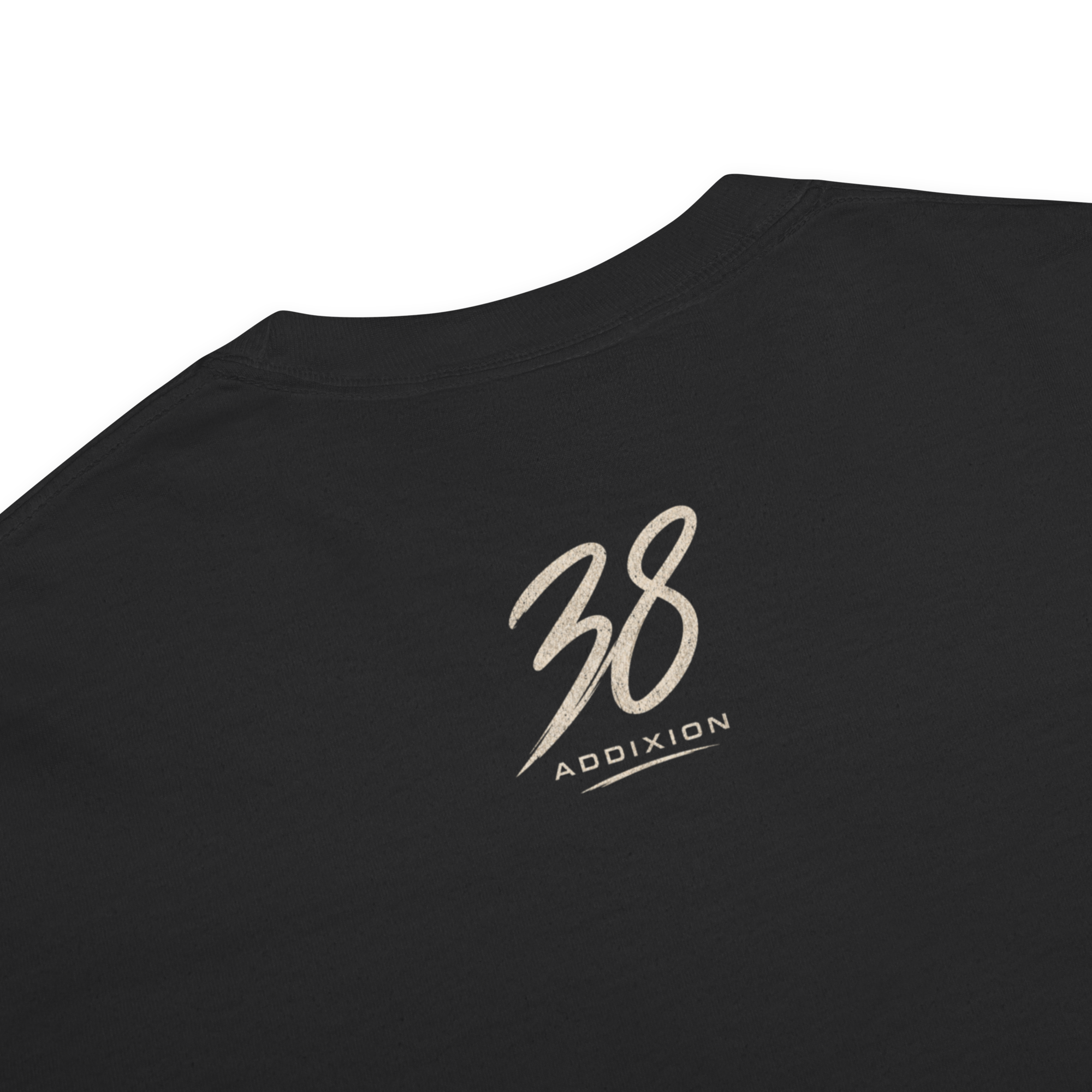 Discipline Trained | Unisex Garment-Dyed Heavyweight T-Shirt