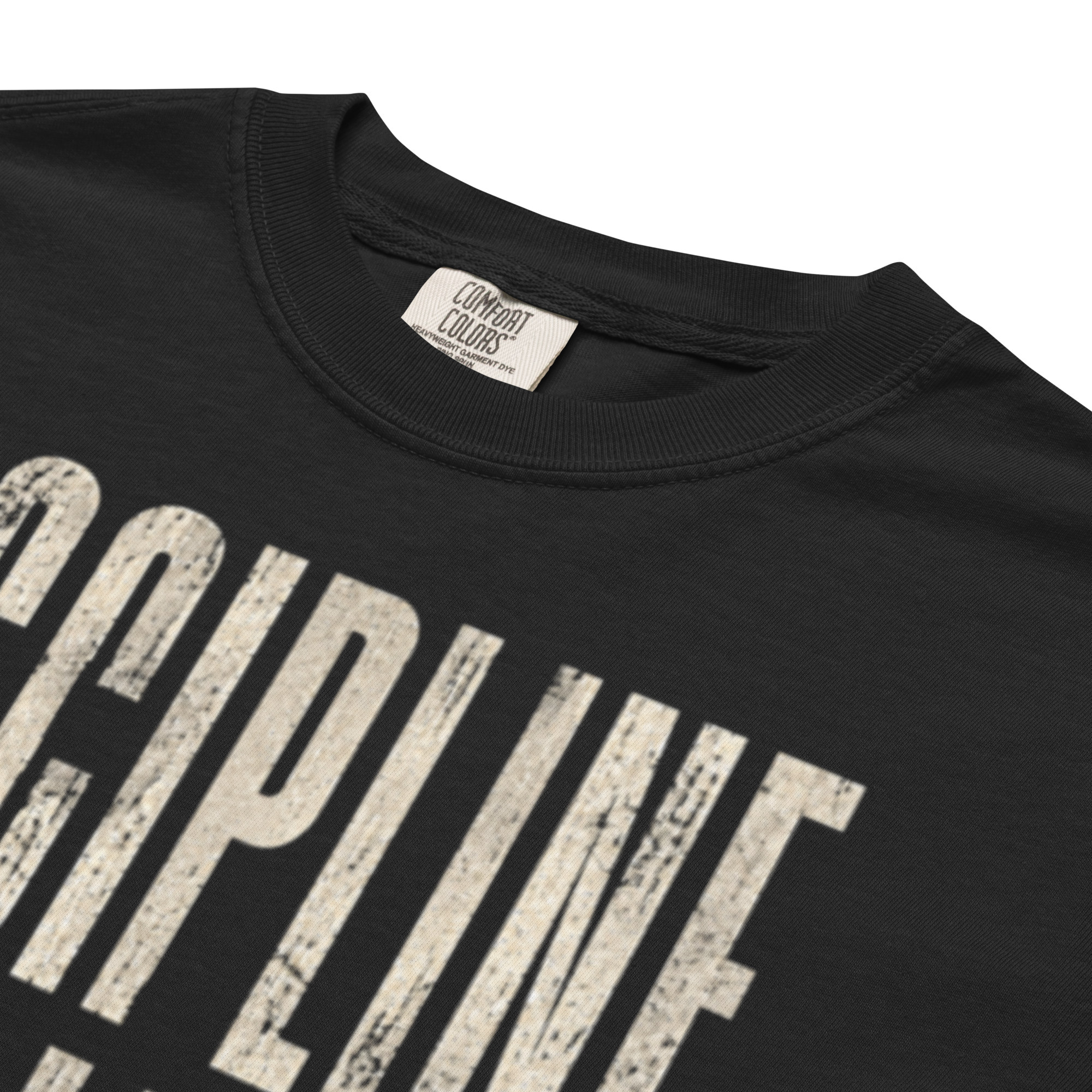 Discipline Trained | Unisex Garment-Dyed Heavyweight T-Shirt