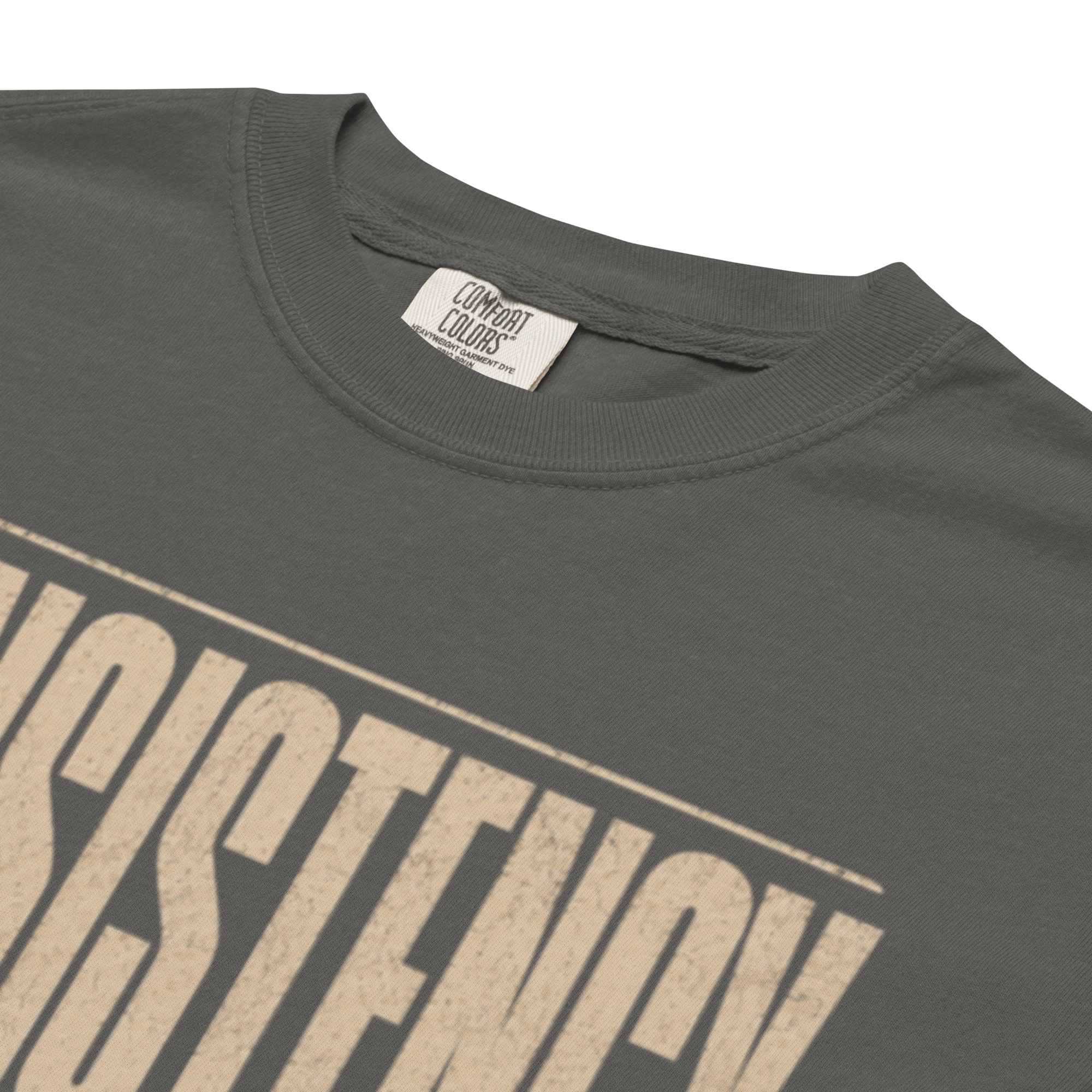 Consistency | Unisex Garment-Dyed Heavyweight T-Shirt